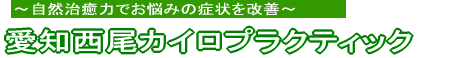 愛知西尾カイロプラクティック(整体・気功)